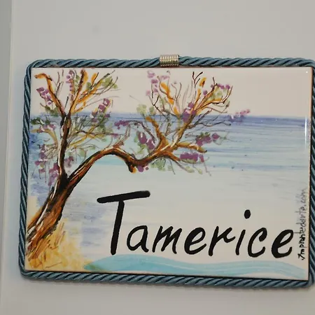 Nocleg ze śniadaniem Tamarix 4*